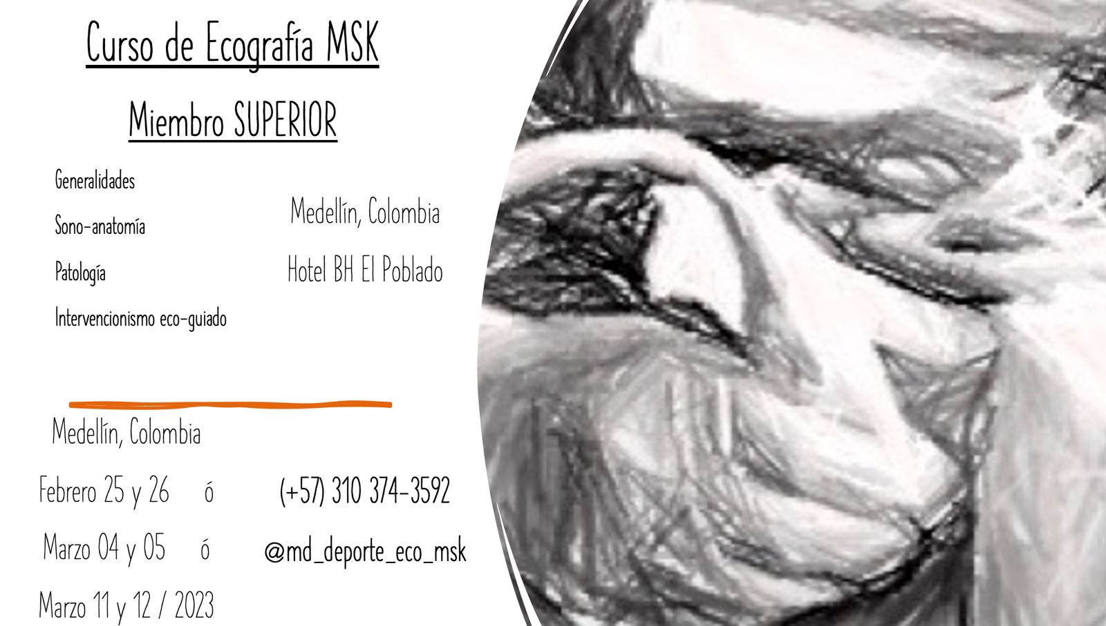 Curso de Ecografía Músculo-Esquelética - MIEMBRO SUPERIOR